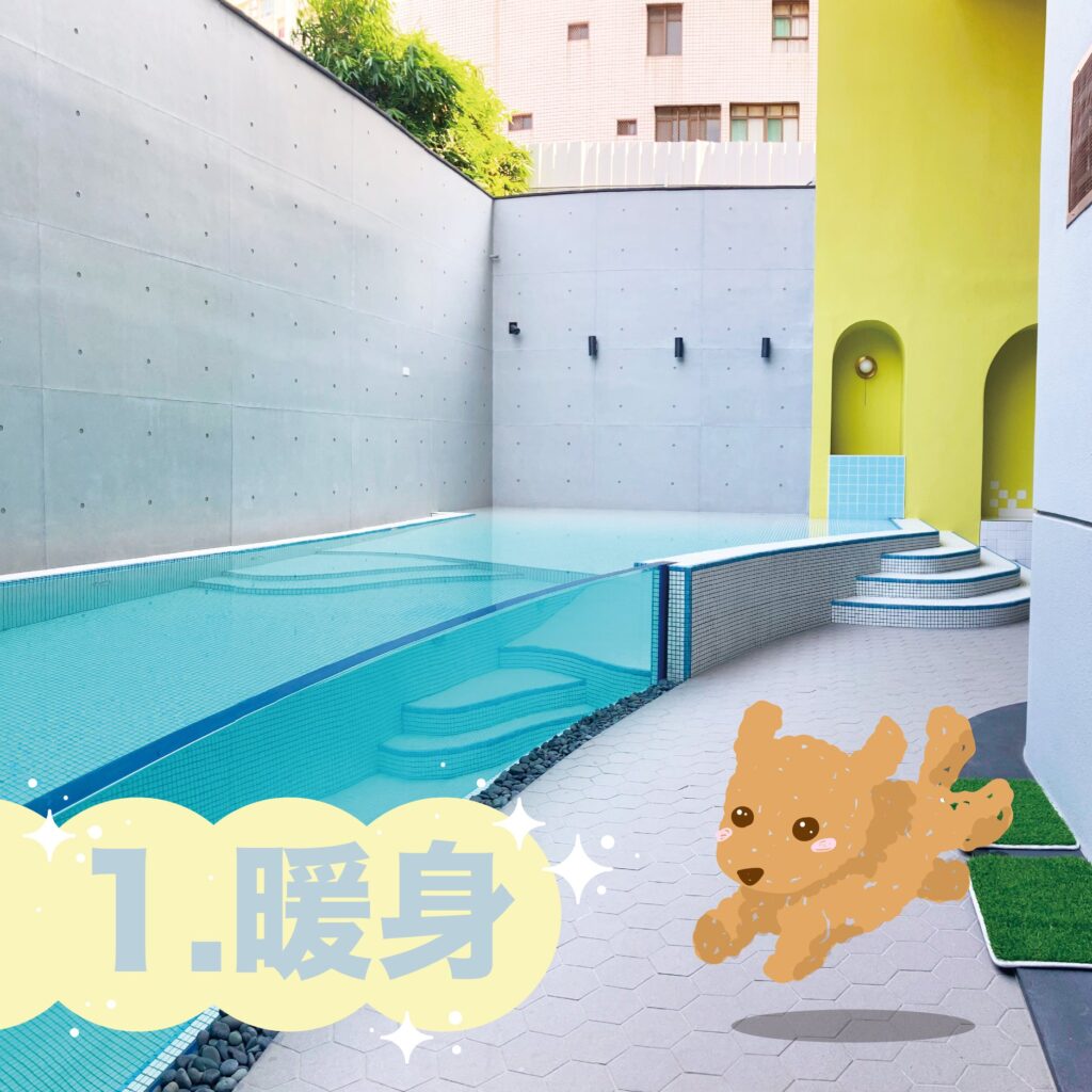 多野樂寵物泳池|第一次游泳,怎麼游? 2 151499129 218928016639165 6596995161765384518 n