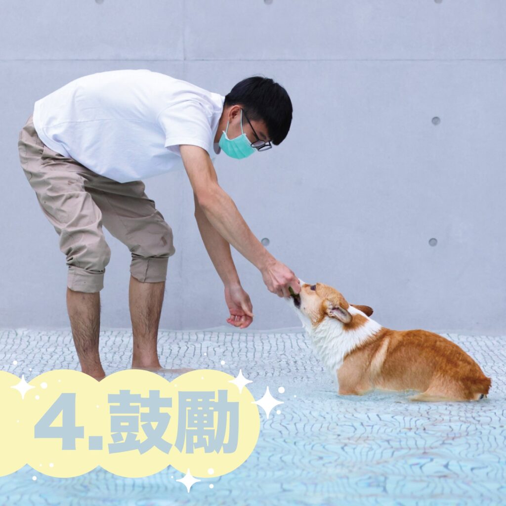 多野樂寵物泳池|第一次游泳,怎麼游? 5 156383146 218928266639140 2633356741842743210 n