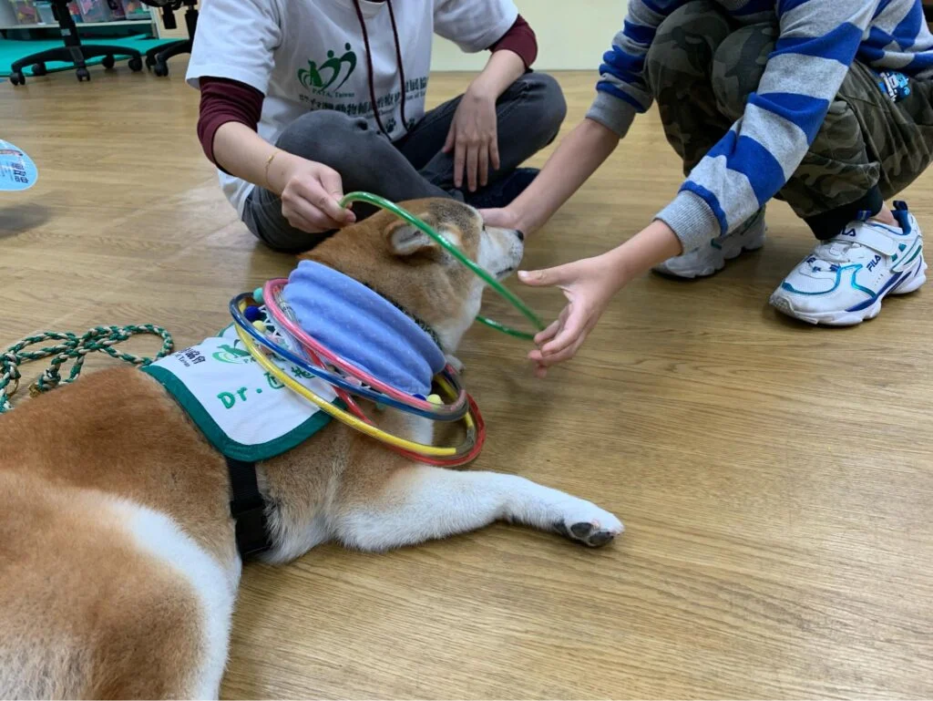 相遇多野樂|我是治療犬 Tsaco「匝摳」 4 277713871 3242021822697076 5801349028882791671 n