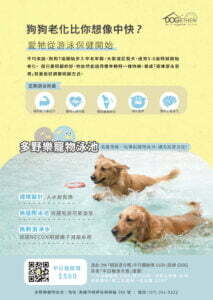 多野樂寵物泳池|狗狗老化比你想像中快? 6 0530動物醫院DM182257 工作區域 1