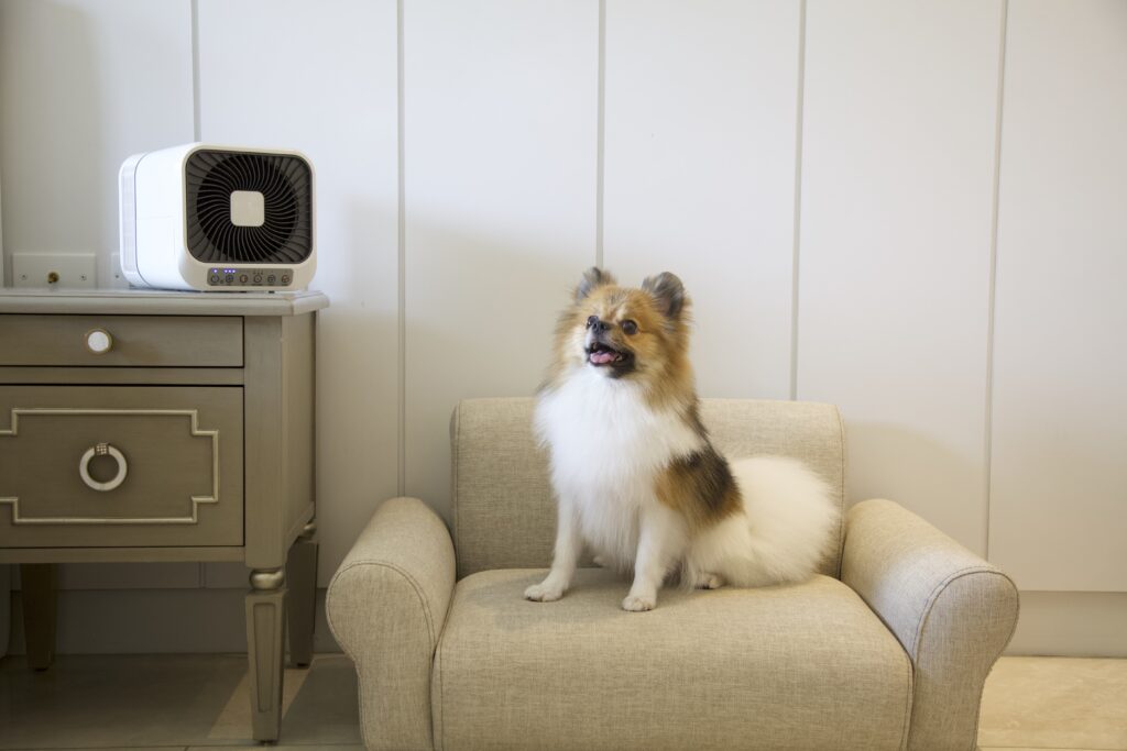 多野樂.旅人護照|嚴選合作夥伴與獨家禮遇 3 MG 1187