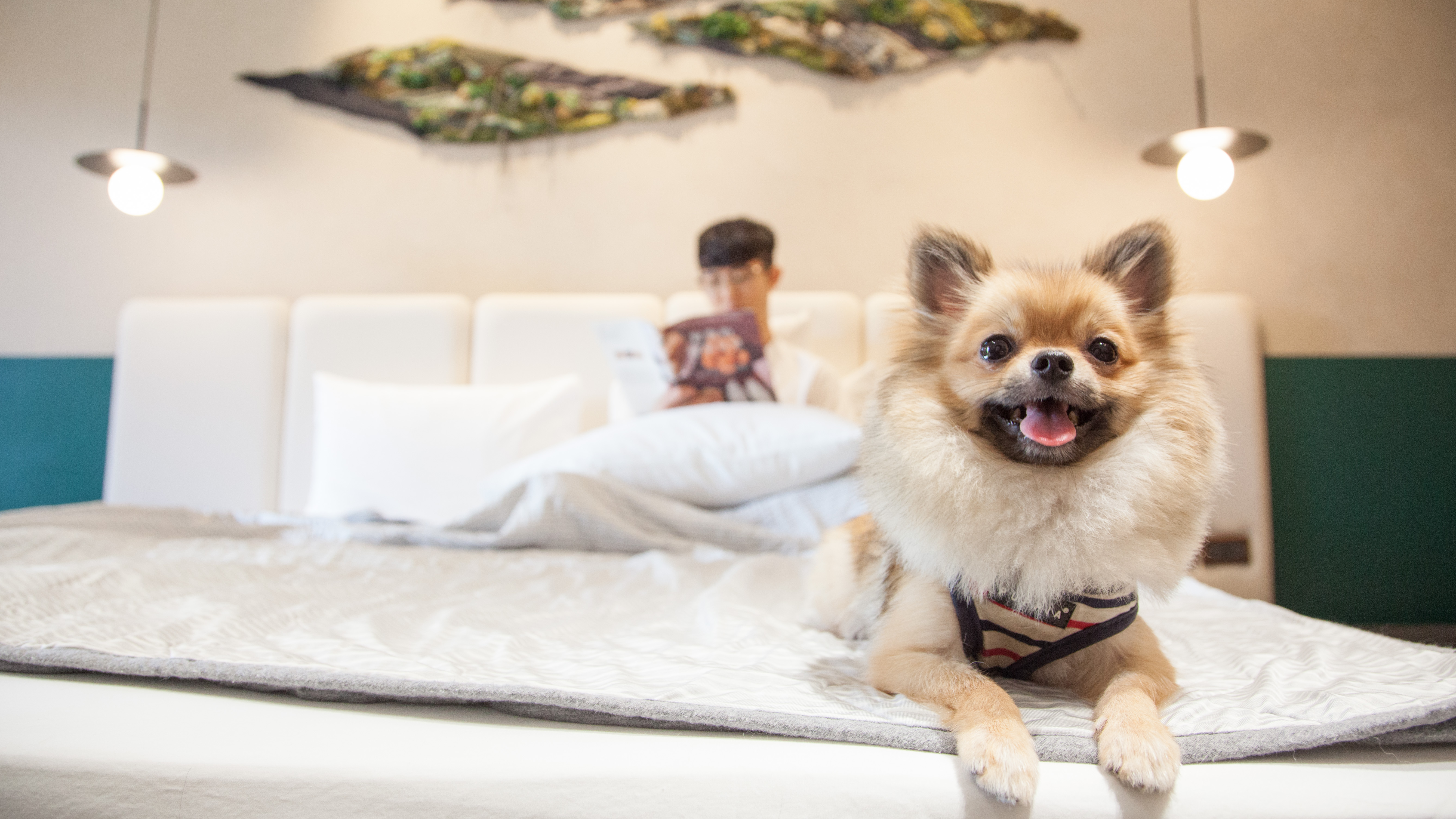 多野樂X微光湖盼|人寵品味生活提案 3 MG 6998