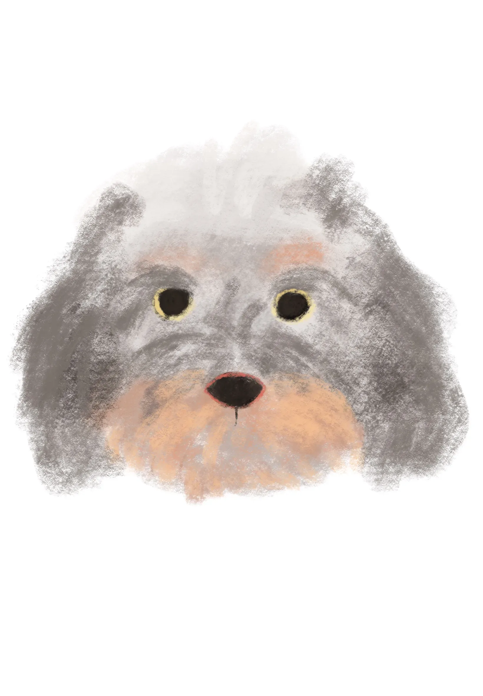 【The Fluffy Dog】 寵物訂製畫 6 6