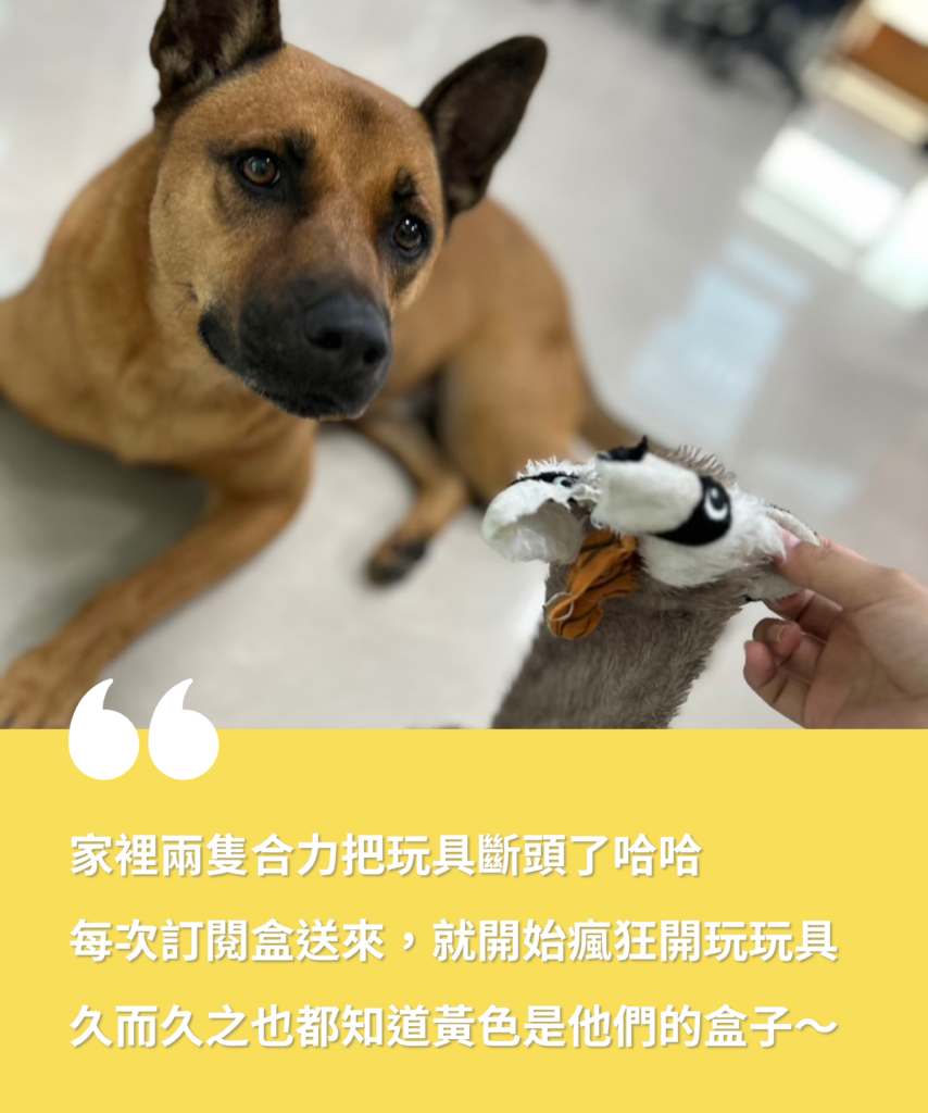 多野樂X這裡找快樂【犬貓驚喜盒】 3 2