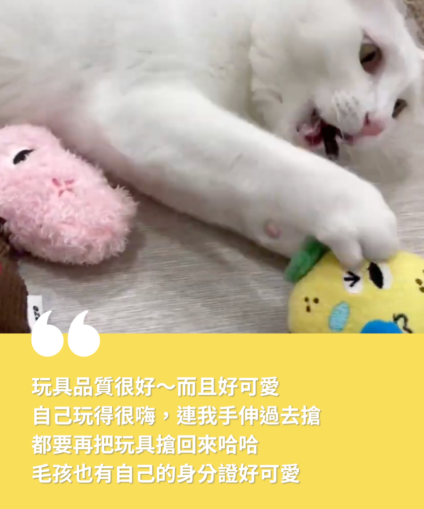 多野樂X這裡找快樂【犬貓驚喜盒】 6 4