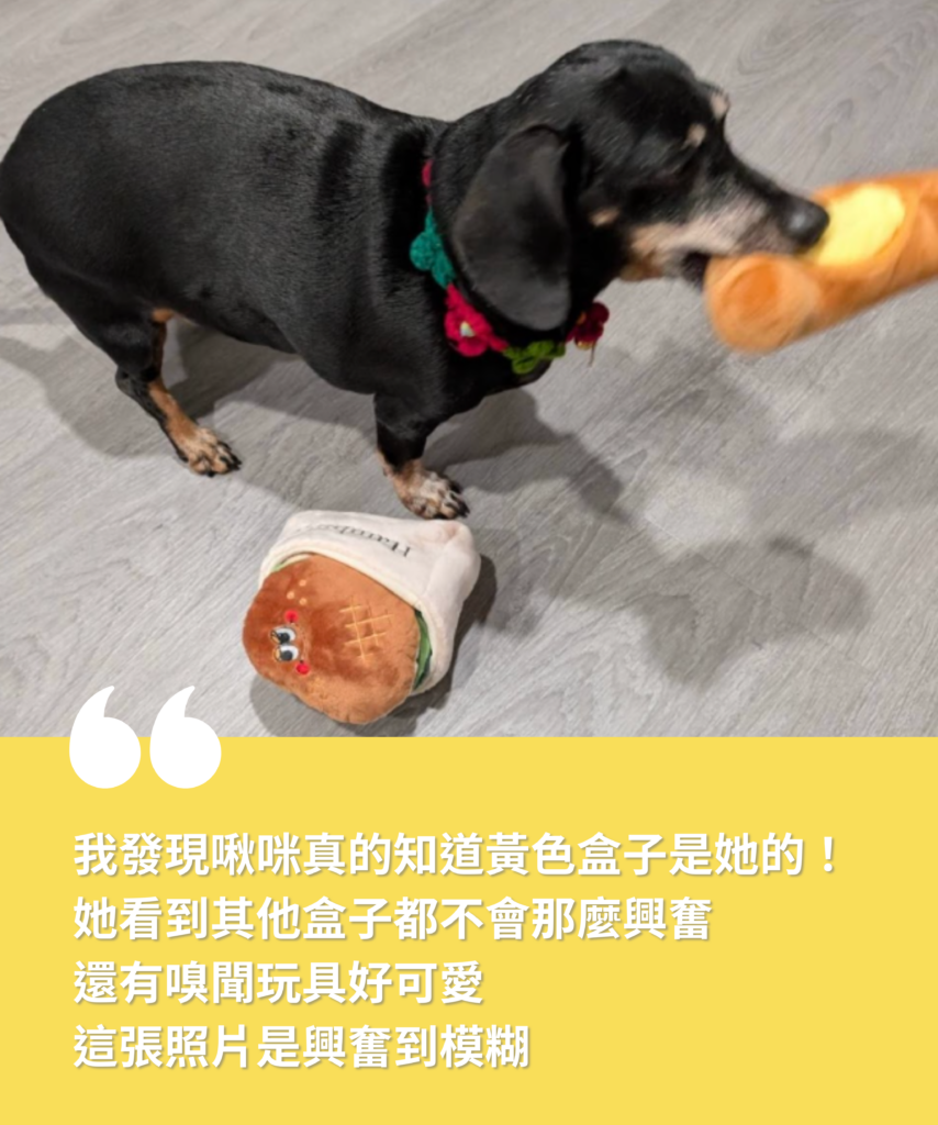 多野樂X這裡找快樂【犬貓驚喜盒】 7 5