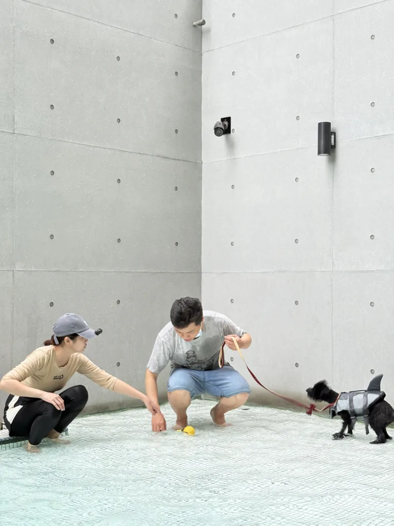 【狗勾的第一堂游泳課】多野樂泳池 X 完美狗狗|初學游泳體驗課 21 IMG 7806 1