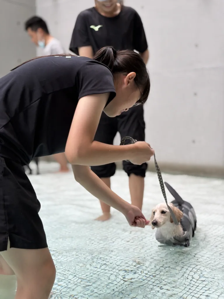 【狗勾的第一堂游泳課】多野樂泳池 X 完美狗狗|初學游泳體驗課 20 IMG 7811