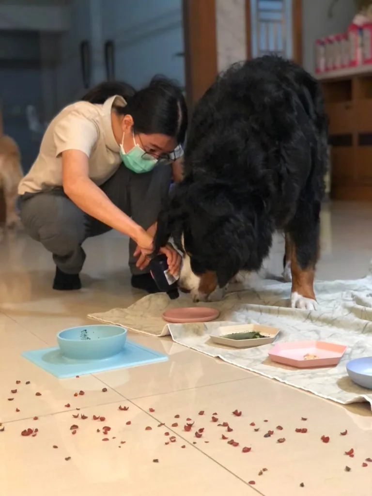 樂齡寵物居家照護設計 ✦ 樂陪 Love Pet 生活|系列講座 3 469936381 582528587602896 1949314211488564481 n