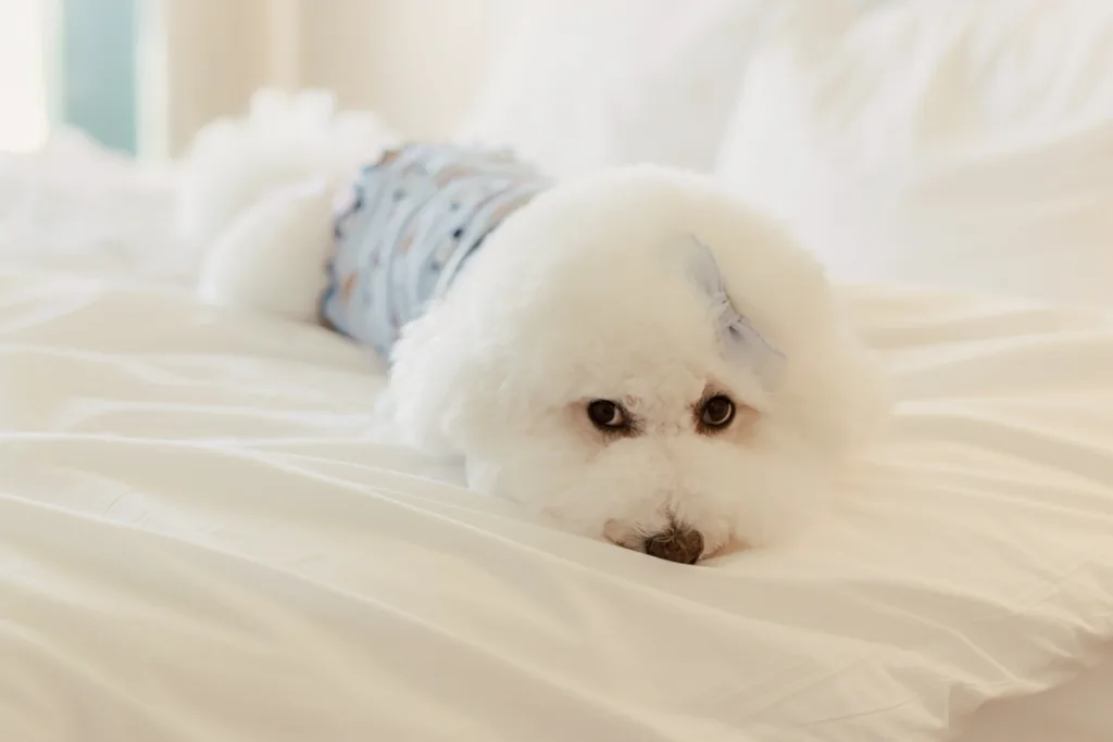 LINE ALBUM 2025.7.15 250715 20