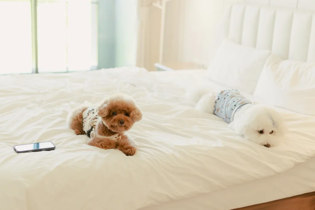 LINE ALBUM 2025.7.15 250715 22