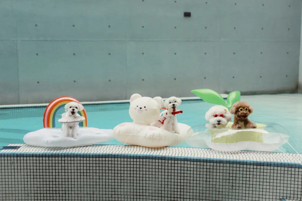 LINE ALBUM 2025.7.15 250715 50