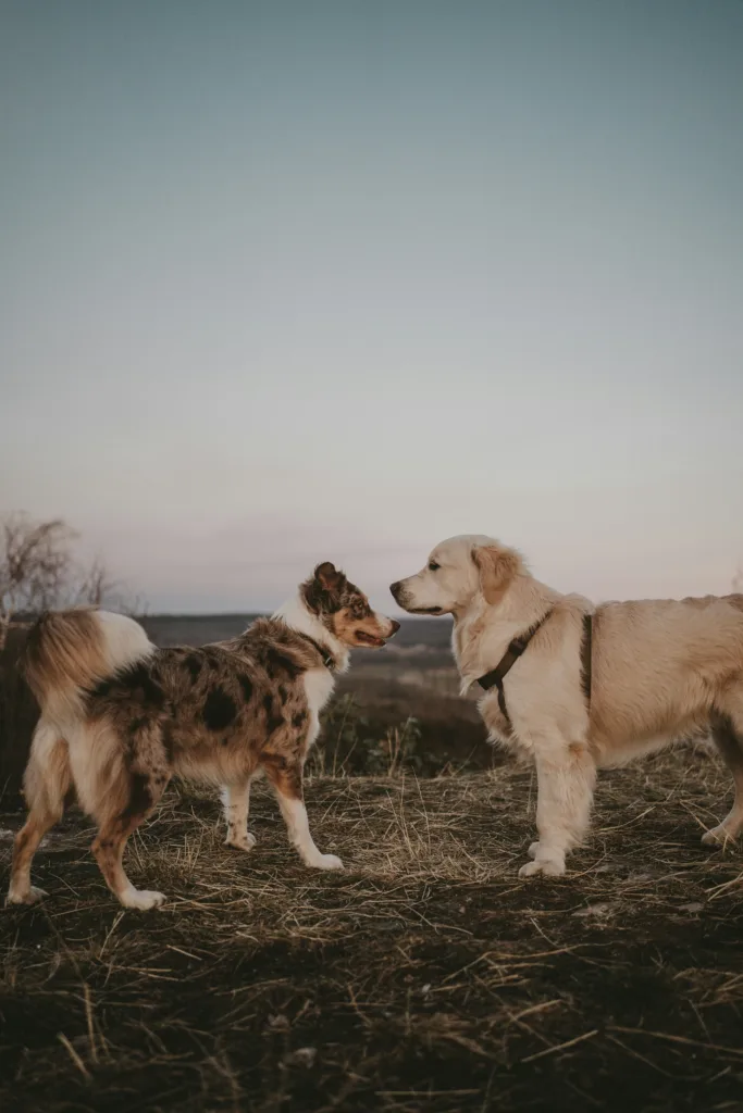 maeva vigier tTWgoSJz1B0 unsplash