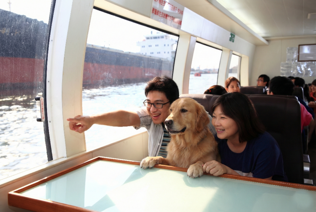 Gemini Generated Image 8miia8miia8miia8