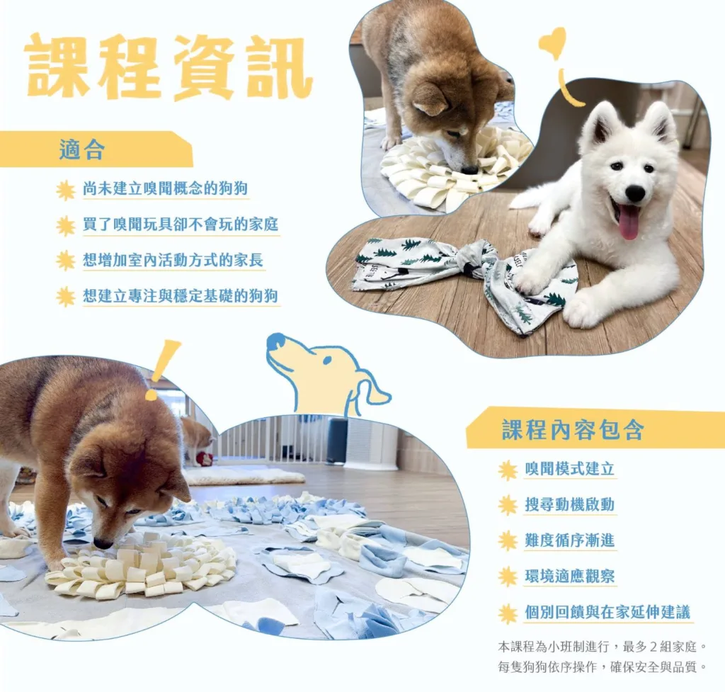 【The Nose Lab】多野樂 X 完美狗狗|狗狗室內嗅聞啟發課 9 PvJddth
